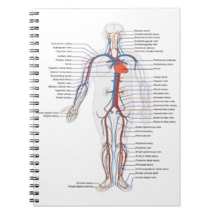 Caderno Espiral Notebook Personalizado de Anatomia e Circulação 