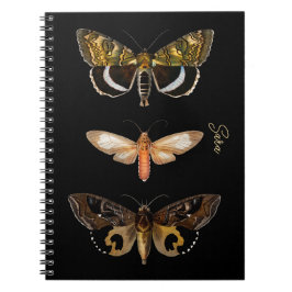 Caderno Espiral Notebook personalizado Vintage Moth Butterfly