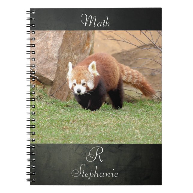 Caderno Espiral Notebook Photo red panda, animais 0436. (Frente)