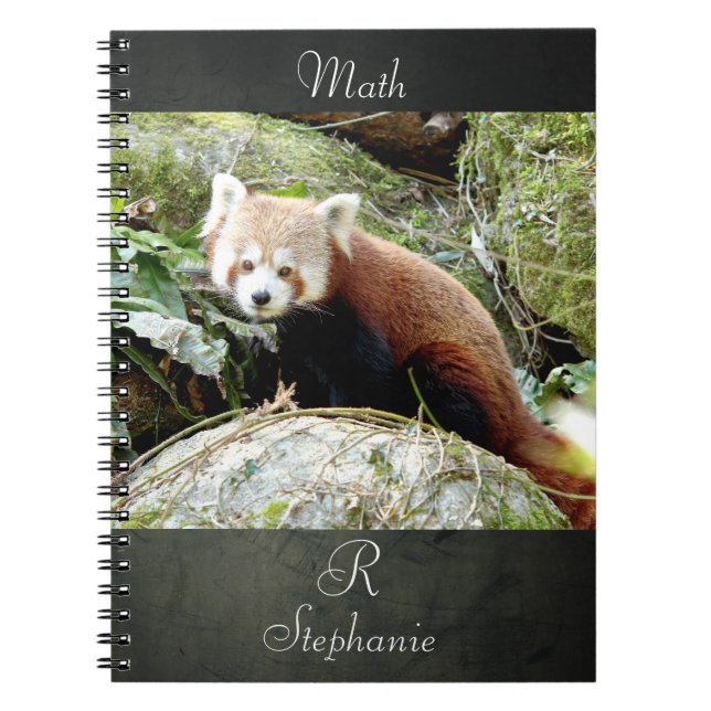 Caderno Espiral Notebook Photo red panda, animais 0437. (Frente)