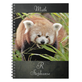 Caderno Espiral Notebook Photo red panda, animais 0443.