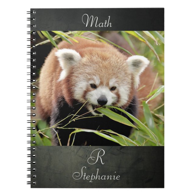 Caderno Espiral Notebook Photo red panda, animais 0443. (Frente)
