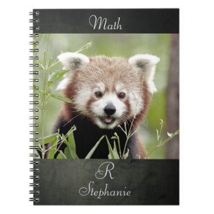Caderno Espiral Notebook Photo red panda, animais 0443. notebook