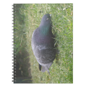 Caderno Espiral Notebook Pigeon com dormir