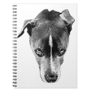 Caderno Espiral Notebook Pitbull Mix Gaze Black and White Art