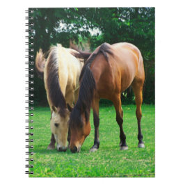 Caderno Espiral Notebook Pony Love