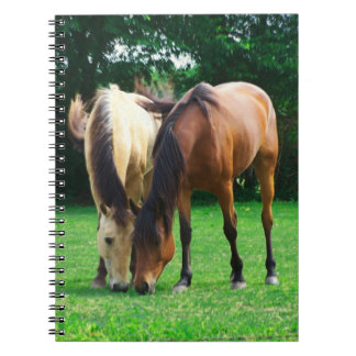 Caderno Espiral Notebook Pony Love