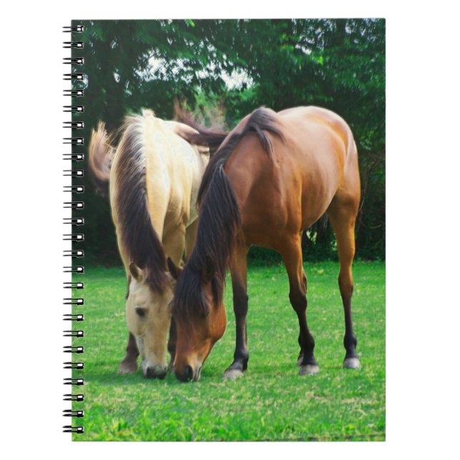 Caderno Espiral Notebook Pony Love (Frente)