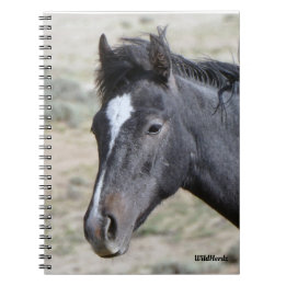 Caderno Espiral Notebook Poseidon da Bacia de Areia