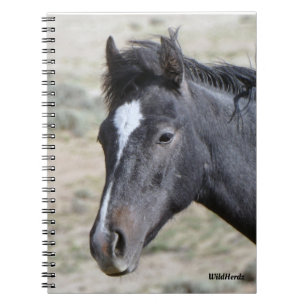 Caderno Espiral Notebook Poseidon da Bacia de Areia