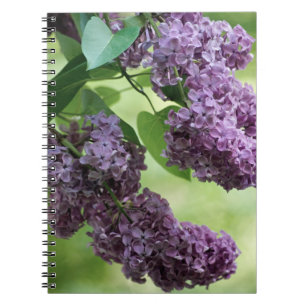 Caderno Espiral Notebook Primavera adorável