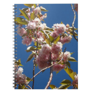 Caderno Espiral Notebook Primavera Blossoms