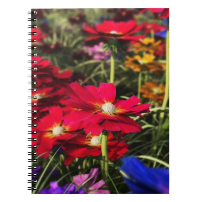 Caderno Espiral Notebook Primavera iridescente (Frente)