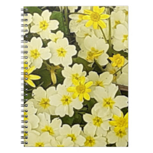 Caderno Espiral Notebook Primavera Primroses