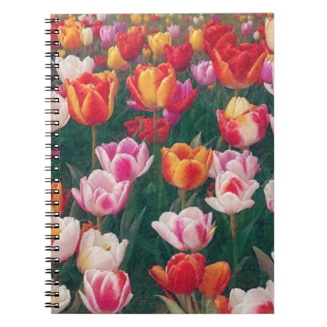 Caderno Espiral Notebook primavera Tulip Garden (Frente)
