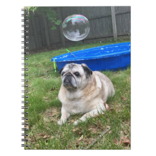 Caderno Espiral Notebook Pug Spiral