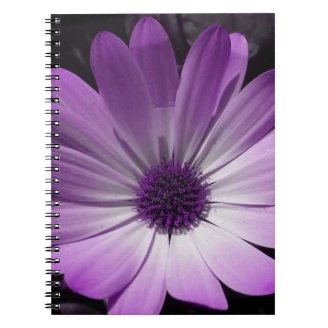 Caderno Espiral Notebook Purple Daisy Flower (Frente)