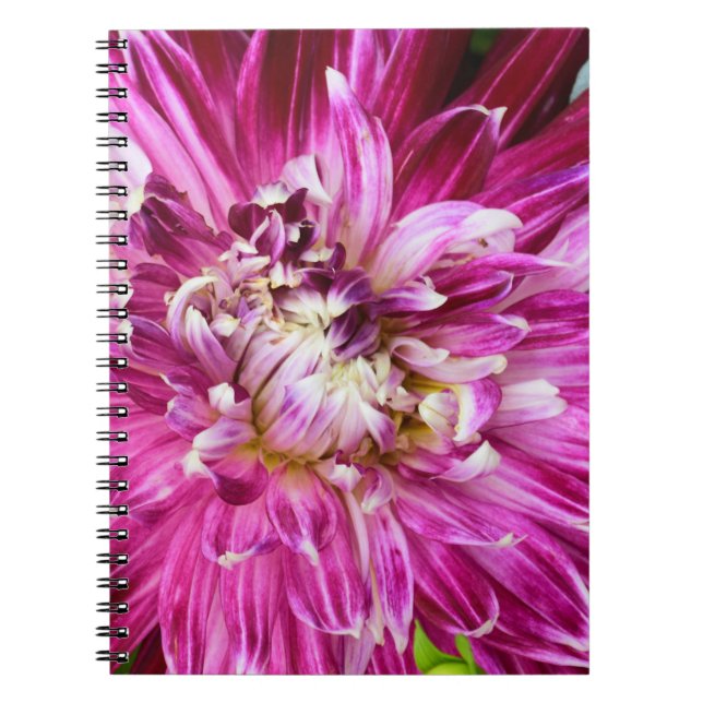 Caderno Espiral Notebook Purple Floral (Frente)