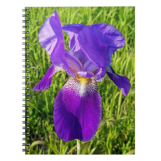 Caderno Espiral Notebook Purple Iris (Frente)