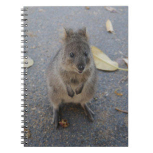 Caderno Espiral Notebook Quokka