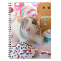 Notebook Rat