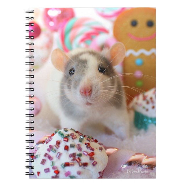 Caderno Espiral Notebook Rat (Frente)
