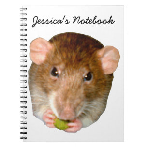 Caderno Espiral Notebook Rat Com Fome