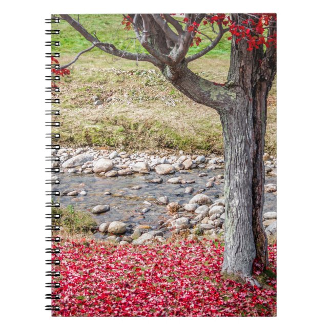 Caderno Espiral Notebook Red Autumn Tree (Frente)