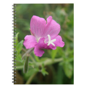 Caderno Espiral Notebook Red Campion Wildflower