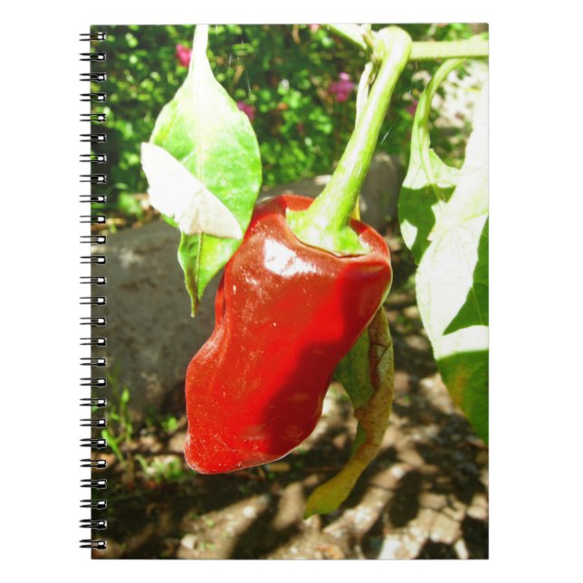 Caderno Espiral Notebook Red Capsicum (Frente)