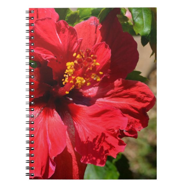 Caderno Espiral Notebook Red Hibiscus (Frente)