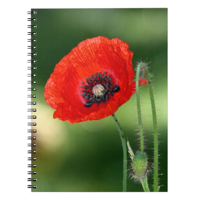 Caderno Espiral Notebook Red Poppy Seed (Frente)