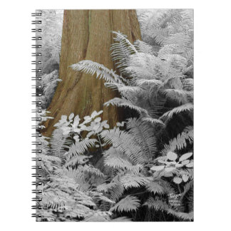 Caderno Espiral Notebook Redwood e Infrared Ferns