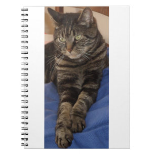 Caderno Espiral Notebook Regal Dave Photo (80 Páginas)