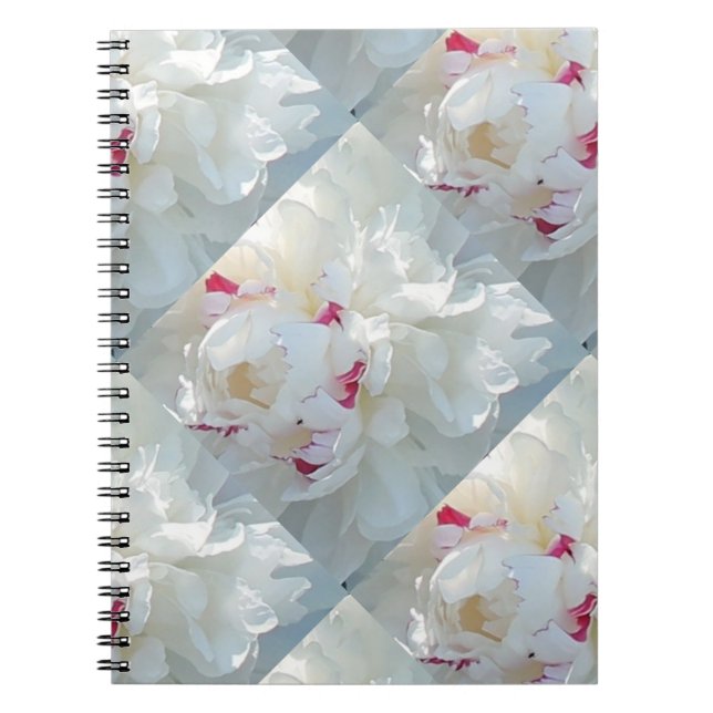 Caderno Espiral Notebook Romântico multipénico (Frente)
