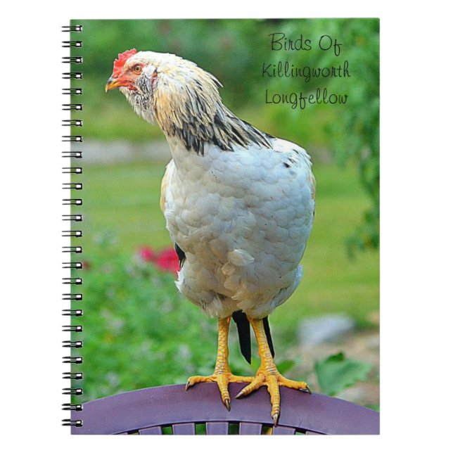 Caderno Espiral Notebook Rooster (Frente)