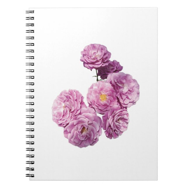 Caderno Espiral Notebook rosa (Frente)