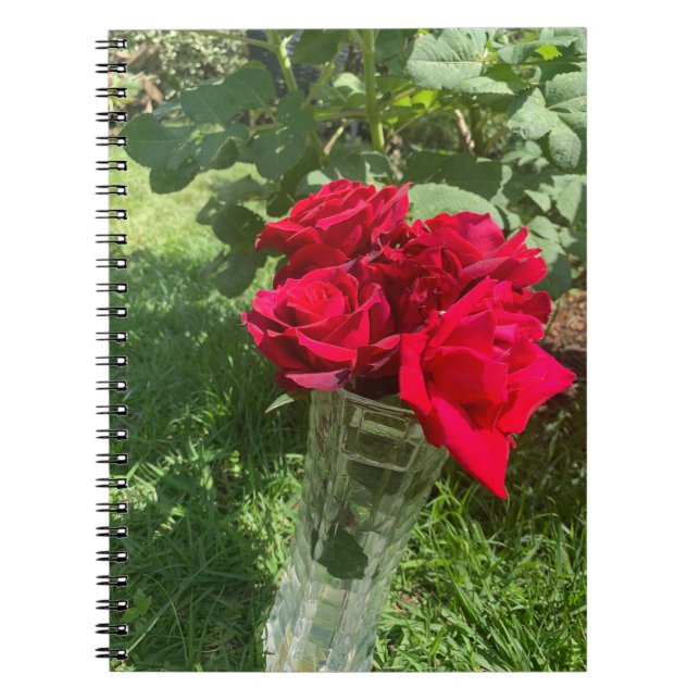 Caderno Espiral Notebook Rosa (Frente)