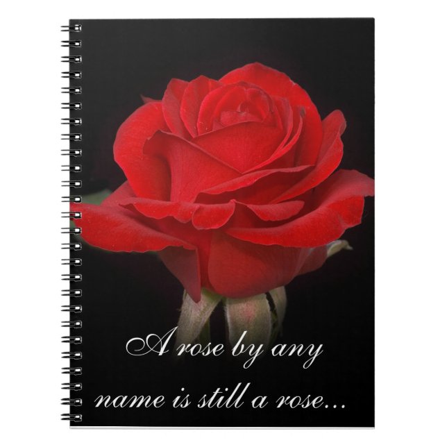 Caderno Espiral Notebook rosa 2 (Frente)