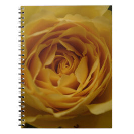 Caderno Espiral Notebook rosa amarelo