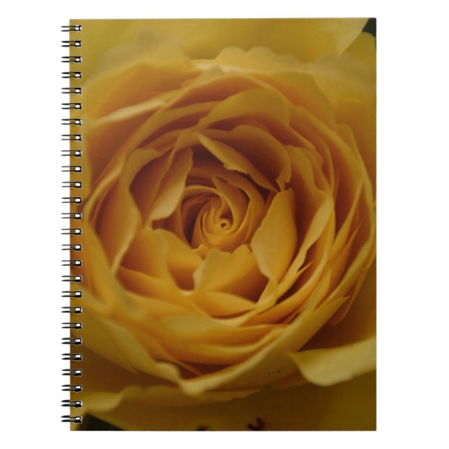 Caderno Espiral Notebook rosa amarelo (Frente)