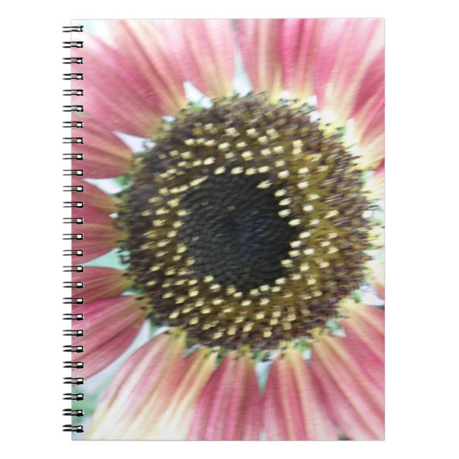 Caderno Espiral Notebook Rosa bonito (Frente)