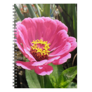 Caderno Espiral Notebook rosa Bonito Zinnia