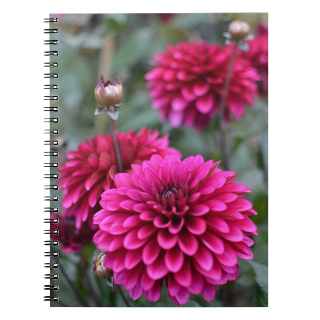 Caderno Espiral Notebook Rosa Dahlia Floral (Frente)