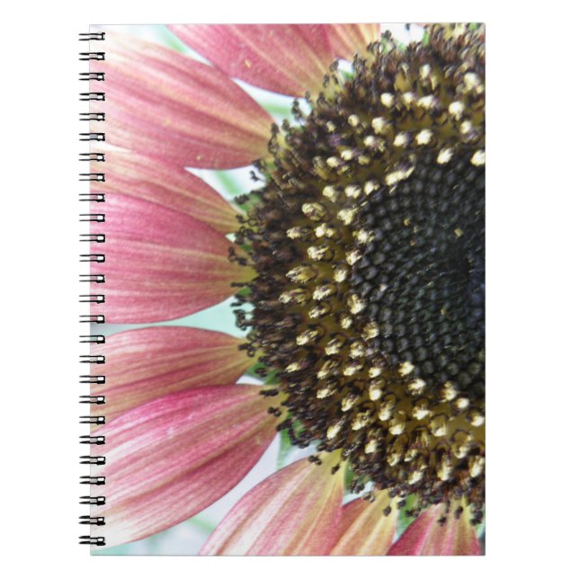 Caderno Espiral Notebook Rosa Girassol (Frente)