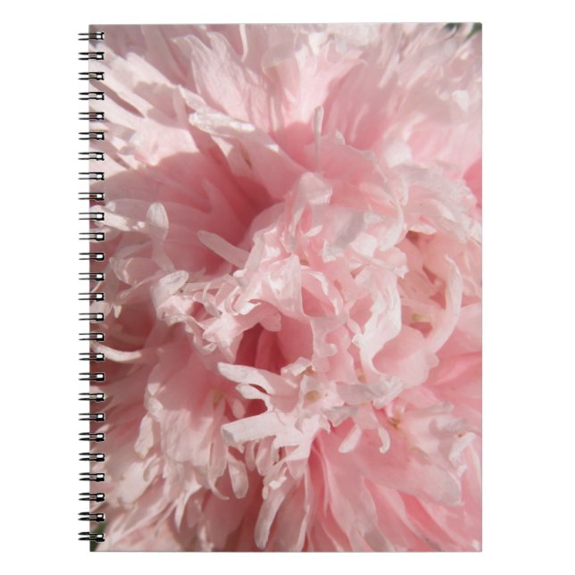Caderno Espiral Notebook rosa pálido e bonito (Frente)