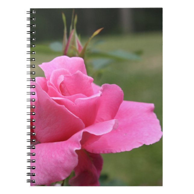 Caderno Espiral Notebook rosa rosa rosa rosa (Frente)