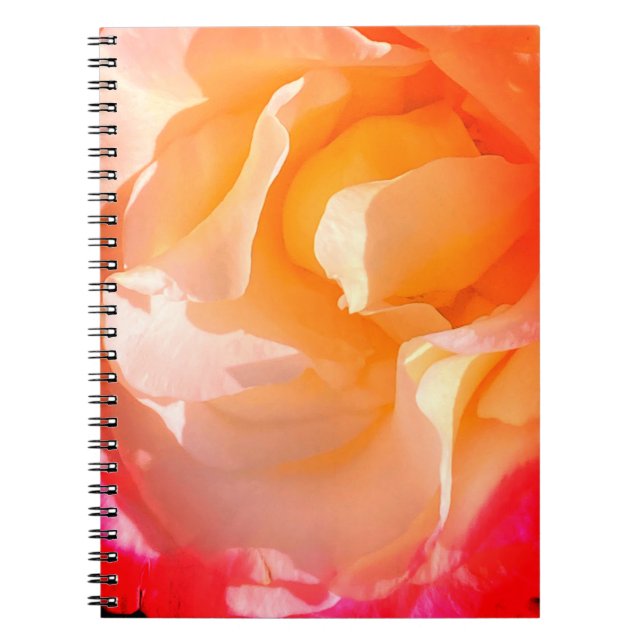 Caderno Espiral Notebook Rosa rufflado (Frente)