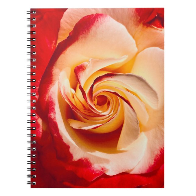 Caderno Espiral Notebook Rosa Twirling (Frente)