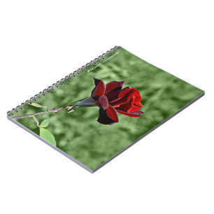 Caderno Espiral Notebook rosa vermelha